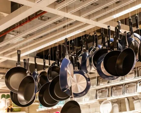 Non-Stick Eating, Aromatic Lactation and Striped Cattle Excel at 2025 Ig Nobel Prizes