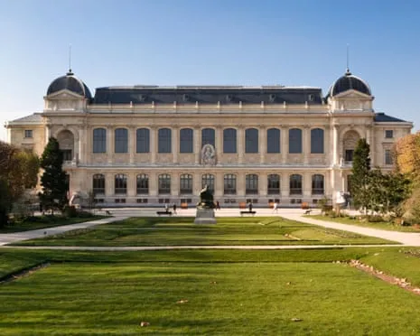 Invaluable Gold Samples Taken in Daring Raid at France's National Institution